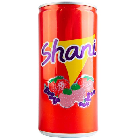 SHANI FRUIT FLAVORED DRINK (24 x 250 ml)