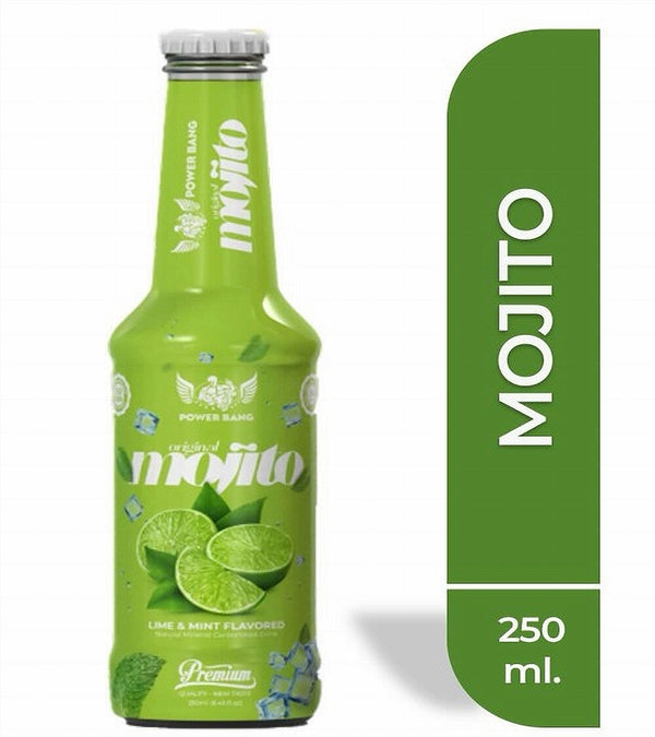 SPIKO FRUITY LIME & MINT (24 x 250ML)