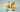 Ghee & Oil