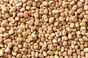 AL SUHAGY EGYPTIAN FAVA BEANS (33 lb)
